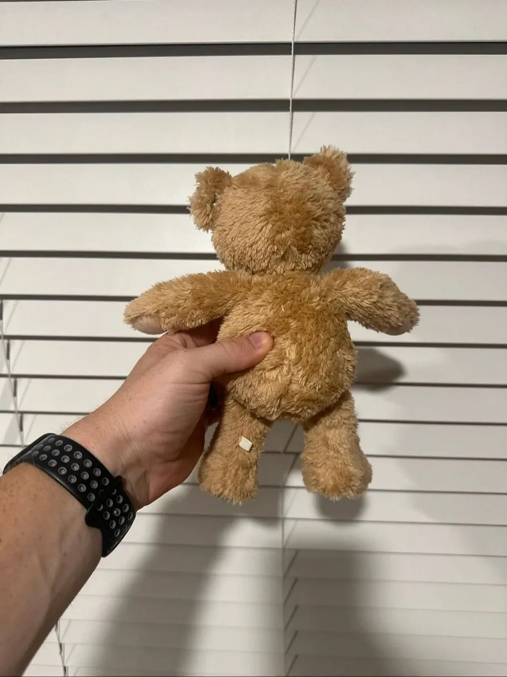 Steiff Honey Soft Toy Teddy Bear